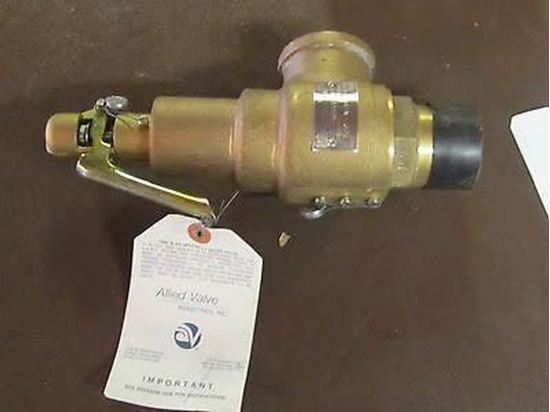 Picture of 1.5"x 1.5" 20#Steam 918 PPH For Kunkle Valve Part# 6010GGM01-AM0020