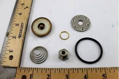 Picture of RT STEAM TRAP REPAIR KIT For Spirax-Sarco Part# 70541