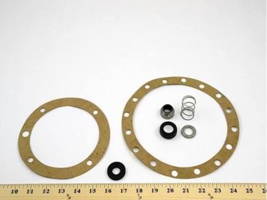 Picture of 5/8" Seal Kit For Spirax-Sarco Part# 142-54052