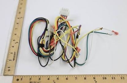 Picture of Wire Harness Assembly For Trane Part# WIR4587