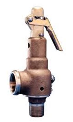 Picture of 1.25x1.5" 15#SteamRelf 793#hr For Kunkle Valve Part# 6010GFM01-AM0015