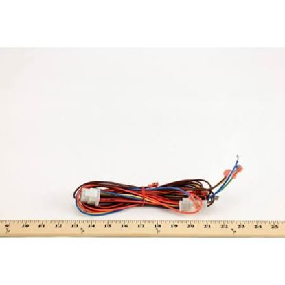 Picture of WIRING HARNESS 12-PIN IGN CONT For Lennox Part# 43L71