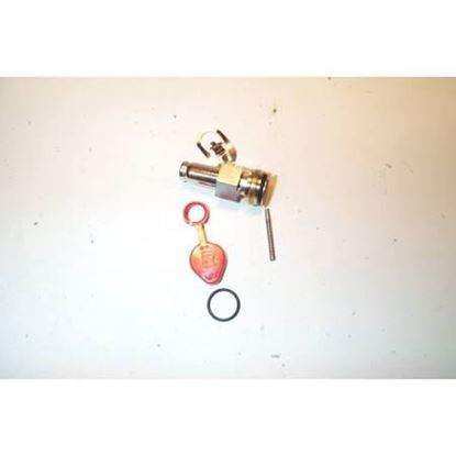 Picture of REPAIR KIT For ASCO Part# 308-541
