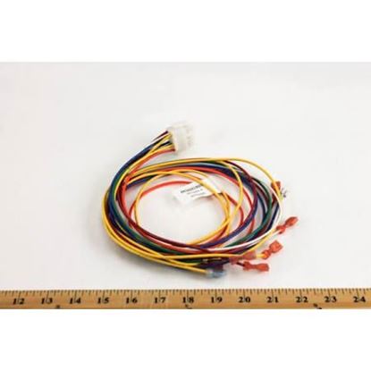 Picture of Wiring Harness W/12Pin Connect For Trane Part# WIR2360