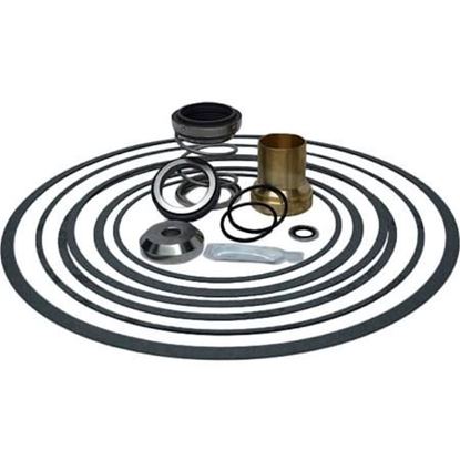 Picture of 1 1/2" Type B Seal Kit For Taco Part# 953-1549-4BRP