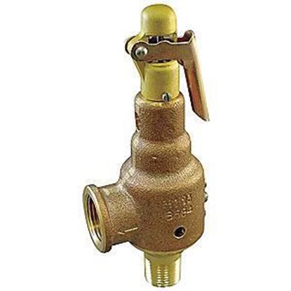 Picture of 3/4"x3/4" 40#SteamRLF 310#/HR For Kunkle Valve Part# 6010DDM01-AM0040