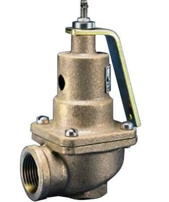 Picture of 1"x1.25" 50# 2407pph SteamRlf For Kunkle Valve Part# 0537-E01-HM0050