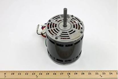 Picture of 208-230v1ph 1/6HP 1000RPM 3SPD For Armstrong Furnace Part# R104054-01