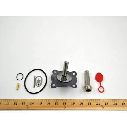 Picture of REPAIR KIT For ASCO Part# 323-300