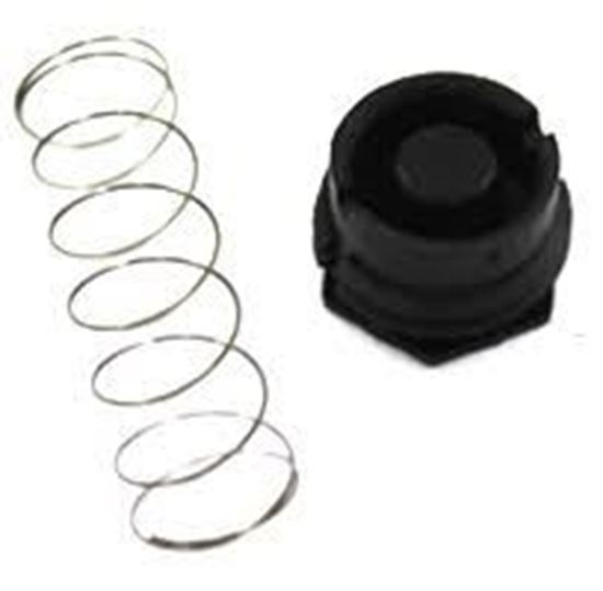 Picture of Gas Valve Spring Kit For Rheem-Ruud Part# 607016