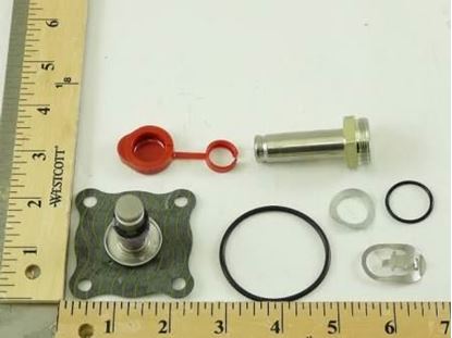 Picture of REPAIR KIT For ASCO Part# 302-350
