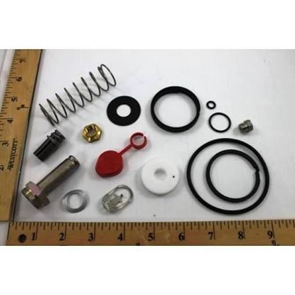 Picture of REPAIR KIT For ASCO Part# 302-281