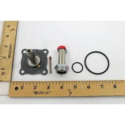 Picture of REPAIR KIT For ASCO Part# 318-998
