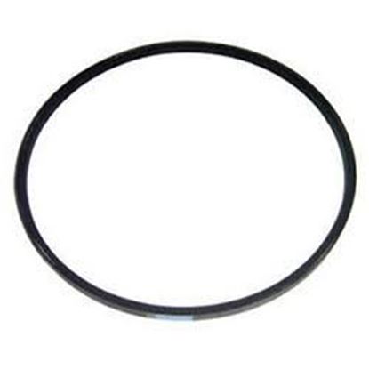 Picture of 116.2 V BELT For Browning Part# C112