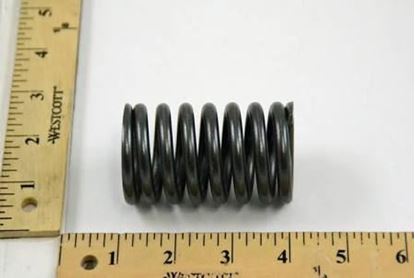 Picture of HP SPRING FOR "E",2 1/2",250# For Spence Engineering Part# 05-08257-02