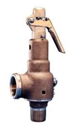 Picture of 1.5"x 2" 75#SteamRelf 3585#hr For Kunkle Valve Part# 6010HGM01-AM0075
