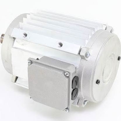 Picture of 3HP FAN MOTOR 460V 3ph 1140RPM For York Part# 024-36874-003