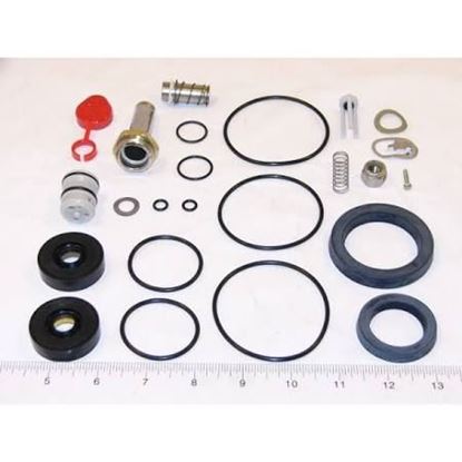 Picture of REPAIR KIT For ASCO Part# 302-713