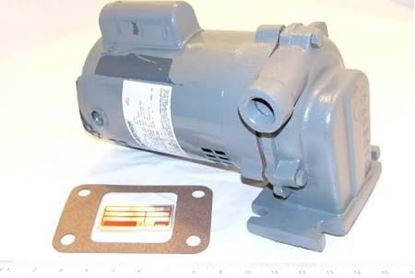 Picture of PUMP & MTR "A"STYLE 1/2 HP For Xylem-Hoffman Specialty Part# 180060