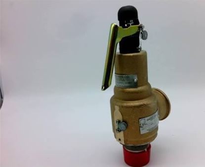 Picture of 1 1/4"X1 1/2"300#SteamrLF8101# For Kunkle Valve Part# 6030GFM01-AM0300