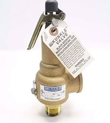 Picture of 1"x1 1/2" 15# STEAM,500 PPH For Kunkle Valve Part# 6283FEM01-LM0015