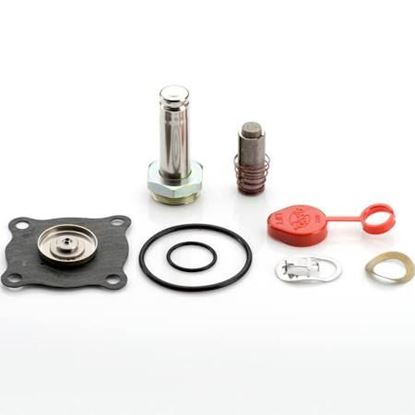 Picture of REPAIR KIT For ASCO Part# 322-173-E