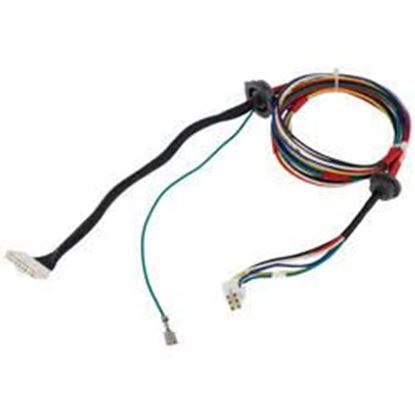 Picture of Wiring Harness For Rheem-Ruud Part# 45-24089-07