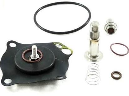 Picture of REPAIR KIT WITH VITON SEAT For GC Valves Part# KS211AF02V5FG9