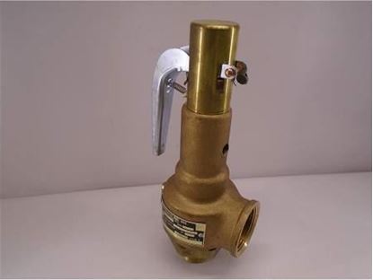 Picture of 1"x 1 1/4" 165# Relief Valve For Conbraco Industries Part# 19-KFEK-165A