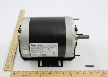 Picture of 1/2HP, TRIVOLT/3PH, 1725, 56 For Century Motors Part# H1028