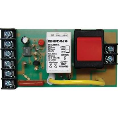 Picture of 4"TRACK-MNT 15AMP SPST 250VAC For Functional Devices Part# RIBMU1SM-250