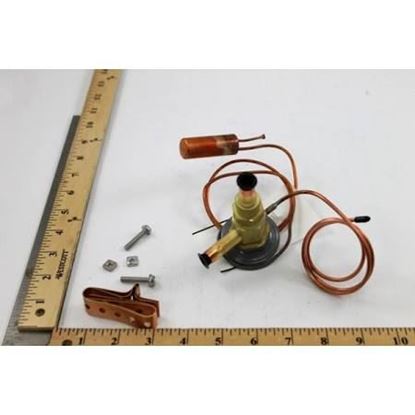 Picture of EXPANSION VALVE For ClimateMaster Part# 33B0015N01