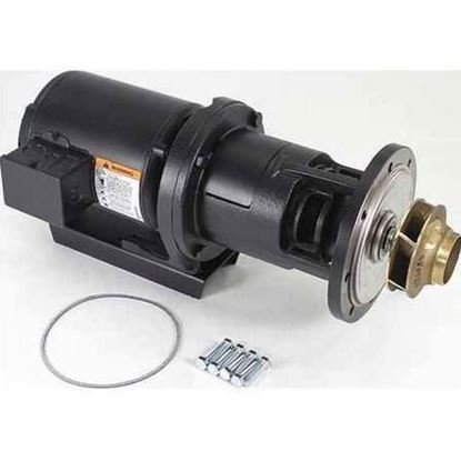 1/3hp Pump & Motor Assembly For Laars Heating Systems Part# RA2117201