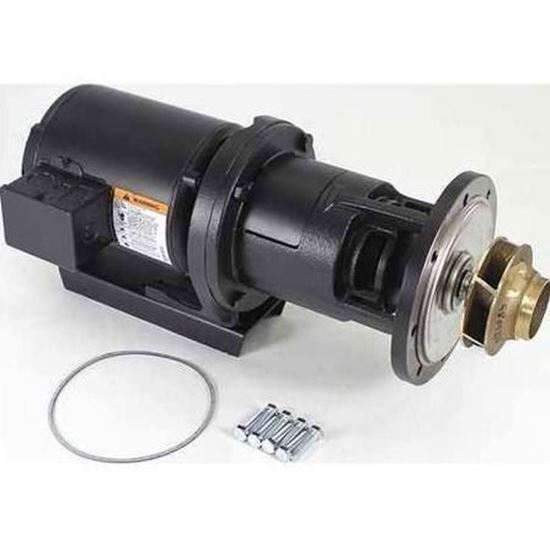 Picture of 1/3hp Pump & Motor Assembly For Laars Heating Systems Part# RA2117201