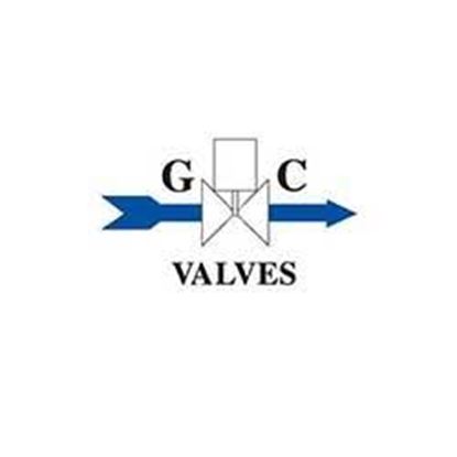 Picture of REPAIR KIT For GC Valves Part# KS212AF02N5FG9