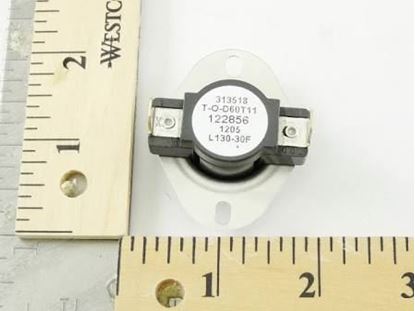 Picture of 135F M/R Limit Switch For Reznor Part# 122856