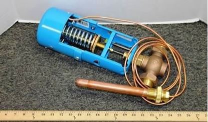 Picture of 3/4",110/170,9"CAP,NO INDICATN For Powers Process Controls Part# 595ST075HC08DN05