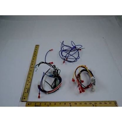 Picture of Wiring Harness For Nordyne Part# M0036001R