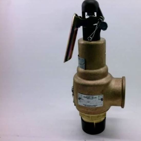 Picture of 1.5"x1.5" 100# STEAM 2946PPH For Kunkle Valve Part# 6010GGM01-AM0100