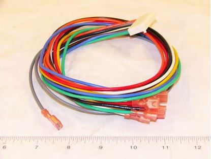 Picture of 24" WIRING HARNESS For Fenwal Part# 05-129921-124