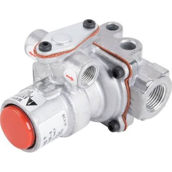 Picture of 120V DUAL OPERATOR GAS VALVE For BASO Gas Products Part# G96HAA-5