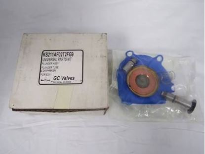 Picture of REPAIR KIT For GC Valves Part# KS211AF02T2FG9