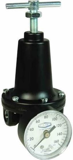 Picture of 1/2"REG 300#In 2-125#OutW/Gage For Parker Watts Fluid Air Part# R119-04CG