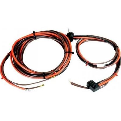 Picture of Wiring Harness For Rheem-Ruud Part# 45-42522-13