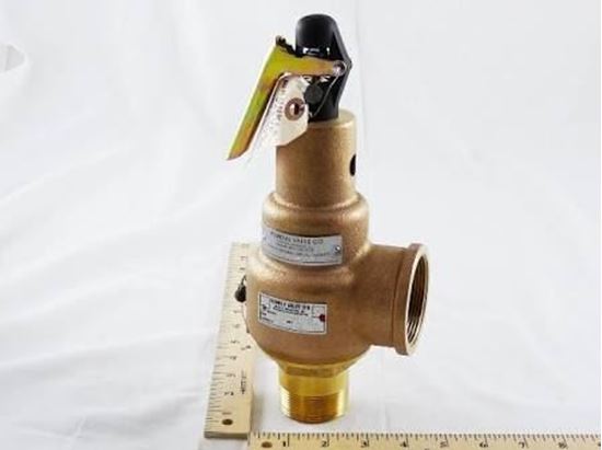 Picture of 1.5X1.5 50# 2720PPH STEAM RLF For Kunkle Valve Part# 6021HGT01-LM0050