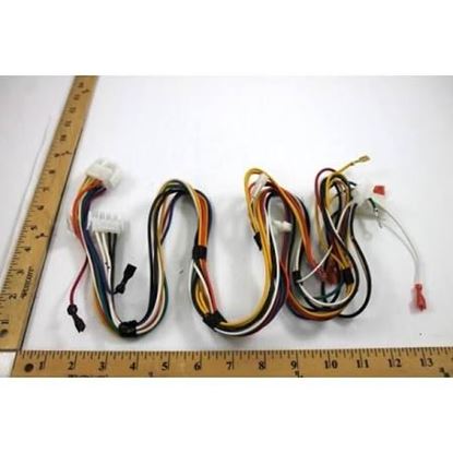 Picture of 4Pin-12Pin Male Wire Harness For Trane Part# WIR4584