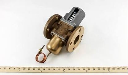 Picture of 2"FLG 2W 80-210#ADJ MARINE REG For Metrex Valve Part# DA2002FL