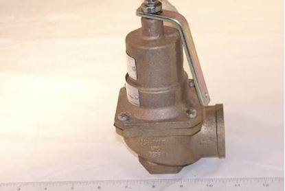 Picture of 1x1.25" 125# 5258pph SteamRlf For Kunkle Valve Part# 0537-E01-HM0125