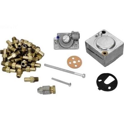 Picture of LP -> Nat Conv Kit, R335-R405 For Raypak Part# 005320F