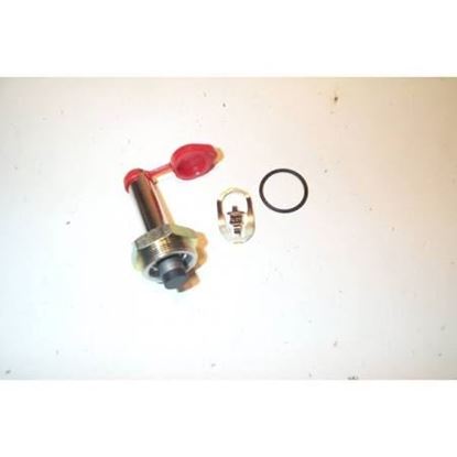 Picture of REPAIR KIT For ASCO Part# 312-487